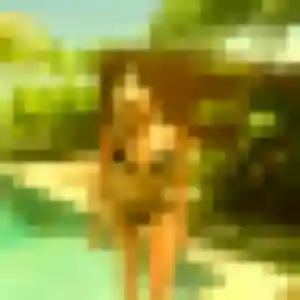 Photo exclusive de Lola, 40 ans à Morières-lès-Avignon - rencontre coquine