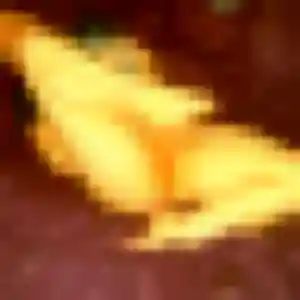Helena (43 ans) à Pélissanne propose une rencontre ce soir
