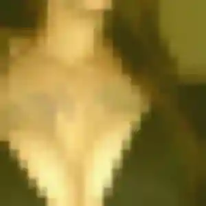 Christine, femme de 23 ans cherche plan cul à Pignans