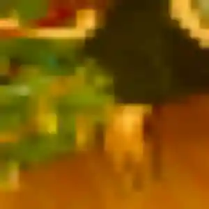Belle Ophelie, 29 ans à Puget-sur-Argens - la contacter