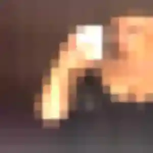 Découvre Sabine, 36 ans à Puget-sur-Argens en privé