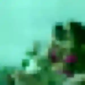 Photo de Armelle à Saint-Chamas (44 ans) - plan cul anonyme